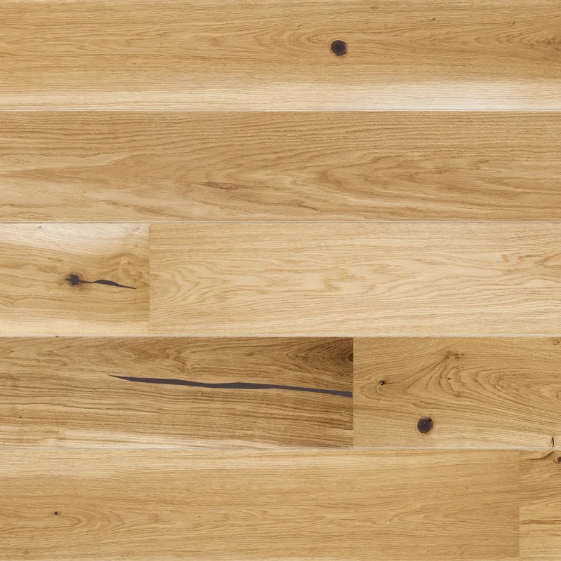 Stejar Cheer photo2